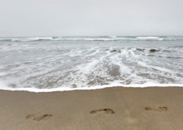 Three footprints are clearly imprinted on a beach. White foam almost reaches them, and a crest is visible in the distance under a gray sky.