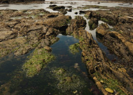 Rocky tide pools reflect the gray sky above