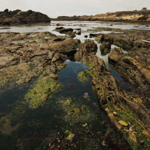 Rocky tide pools reflect the gray sky above