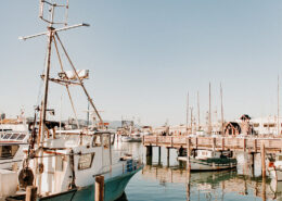 Boats moored in the San Francisco Marina