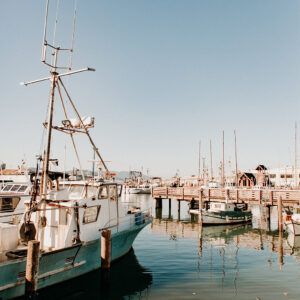 Boats moored in the San Francisco Marina