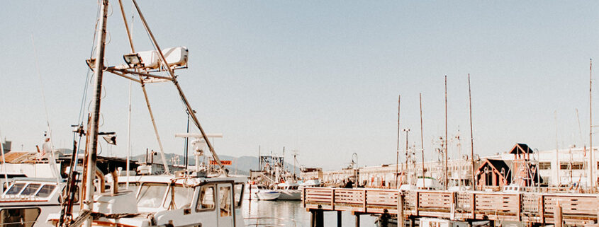 Boats moored in the San Francisco Marina