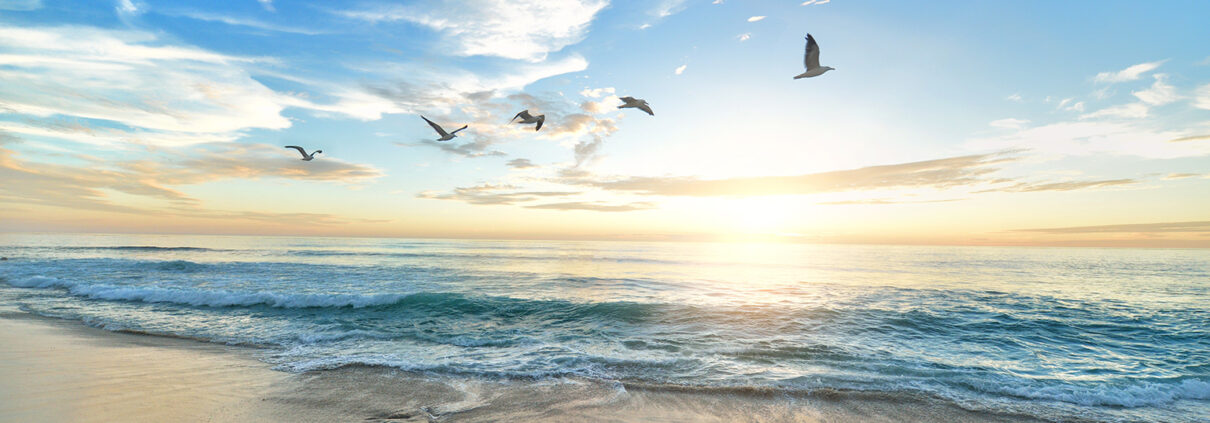 Late afternoon over the beach, with a line of five gulls flying in front of some high clouds