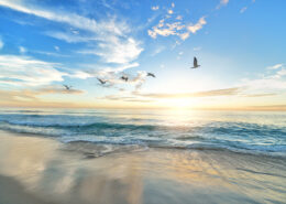 Late afternoon over the beach, with a line of five gulls flying in front of some high clouds
