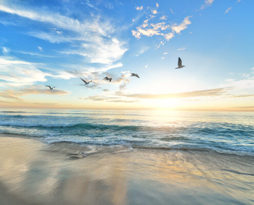 Late afternoon over the beach, with a line of five gulls flying in front of some high clouds