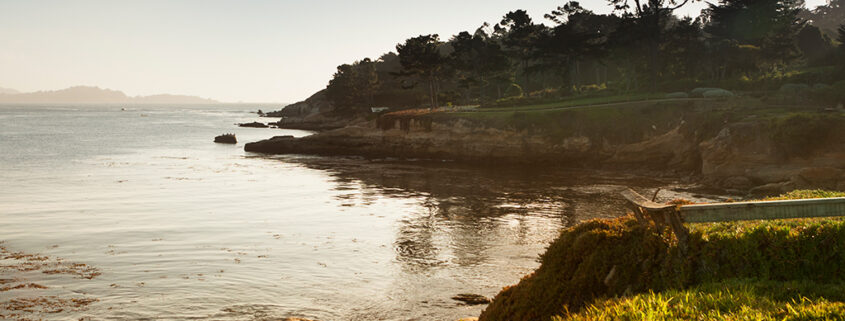 Photograph of a coastline and grass at sunset