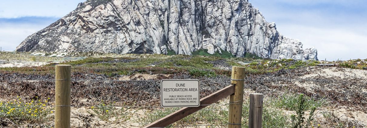 Photo of a sign saying "Dune Restoration Area" at Morro Bay. Morro Rock stands clearly against a blue sky behind the fence and low dunes