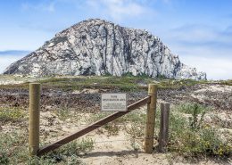 Photo of a sign saying "Dune Restoration Area" at Morro Bay. Morro Rock stands clearly against a blue sky behind the fence and low dunes