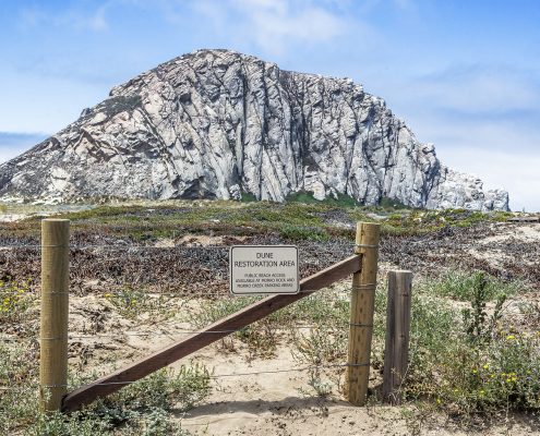 Photo of a sign saying "Dune Restoration Area" at Morro Bay. Morro Rock stands clearly against a blue sky behind the fence and low dunes