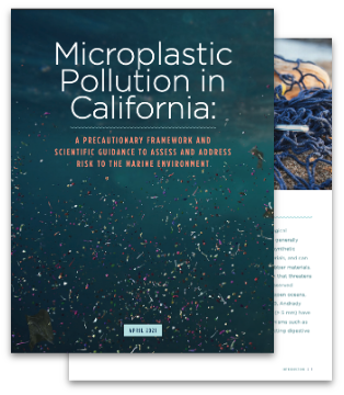 Cover of OST's Microplastics Risk Assessment report