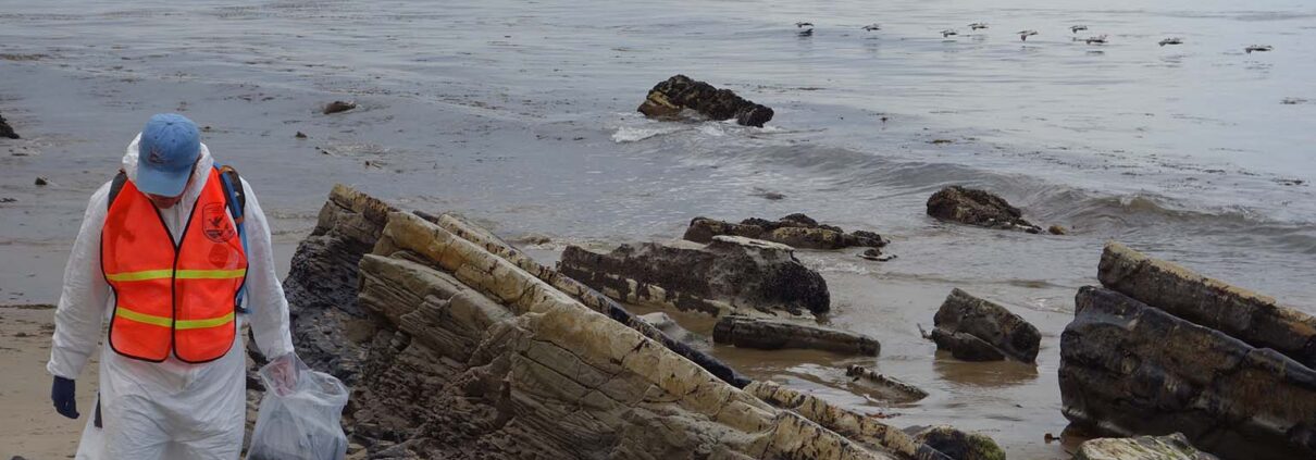 Photograph of a volunteer in an orange vest cleaning an oil spill