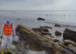 Photograph of a volunteer in an orange vest cleaning an oil spill