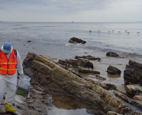 Photograph of a volunteer in an orange vest cleaning an oil spill