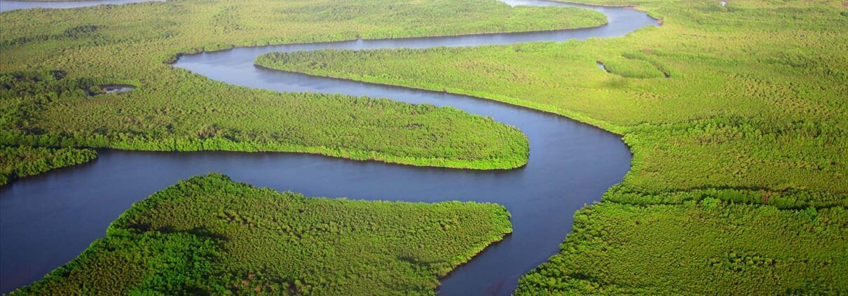 Aerial photograph of a river winding through green marshes to the sea