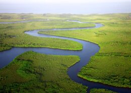 Aerial photograph of a river winding through green marshes to the sea