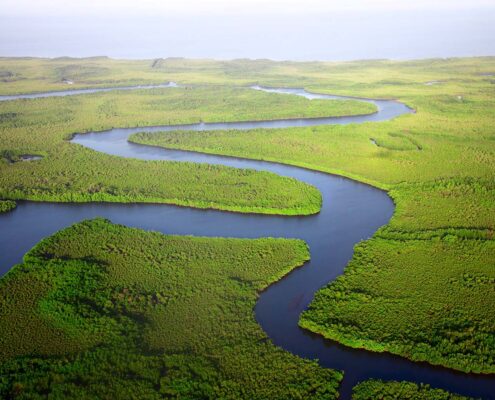 Aerial photograph of a river winding through green marshes to the sea
