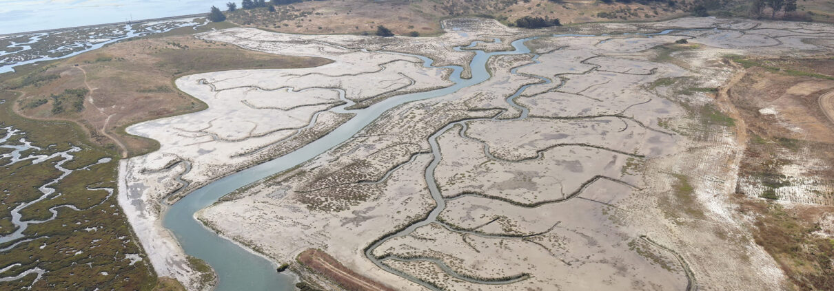2020 Aerial Of The Newly Completed, Freshly Colonizing Marsh Restoration Site Hester Marsh, Elkhorn Slough – Photo By J Haskins