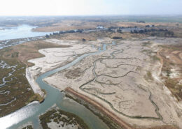 2020 Aerial Of The Newly Completed, Freshly Colonizing Marsh Restoration Site Hester Marsh, Elkhorn Slough – Photo By J Haskins