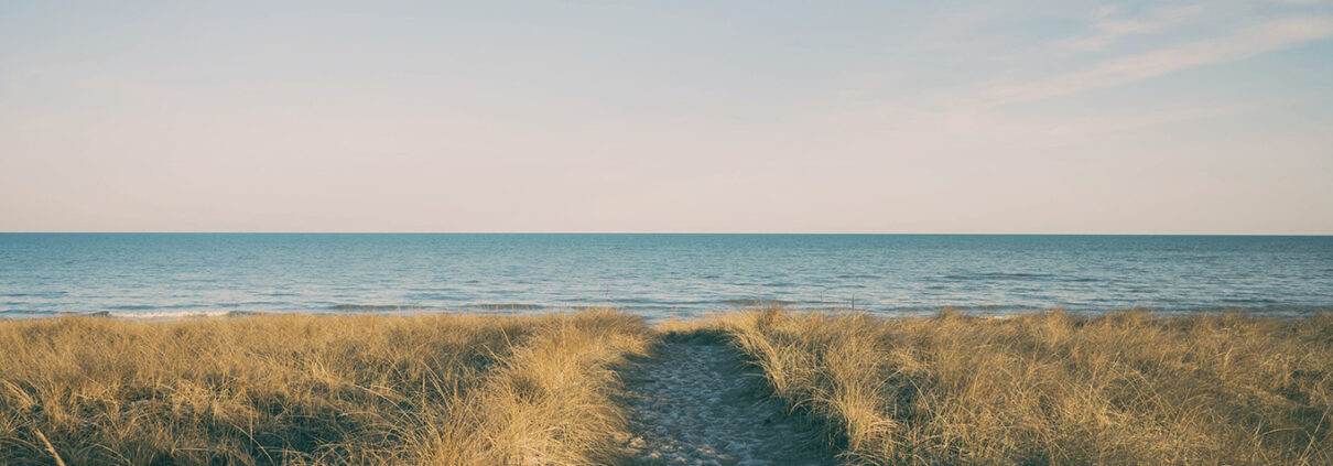 A path leads between tall grasses towards the ocean. The sky is blue and mostly cloudless. Footprints are visible in the sandy path.