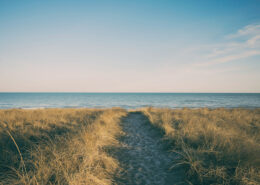 A path leads between tall grasses towards the ocean. The sky is blue and mostly cloudless. Footprints are visible in the sandy path.