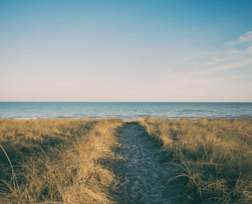 A path leads between tall grasses towards the ocean. The sky is blue and mostly cloudless. Footprints are visible in the sandy path.