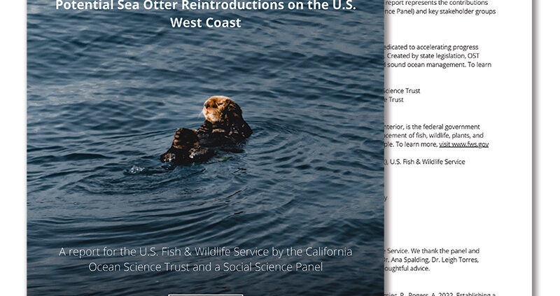 Cover and introductory page of the Sea Otter Reintroduction report