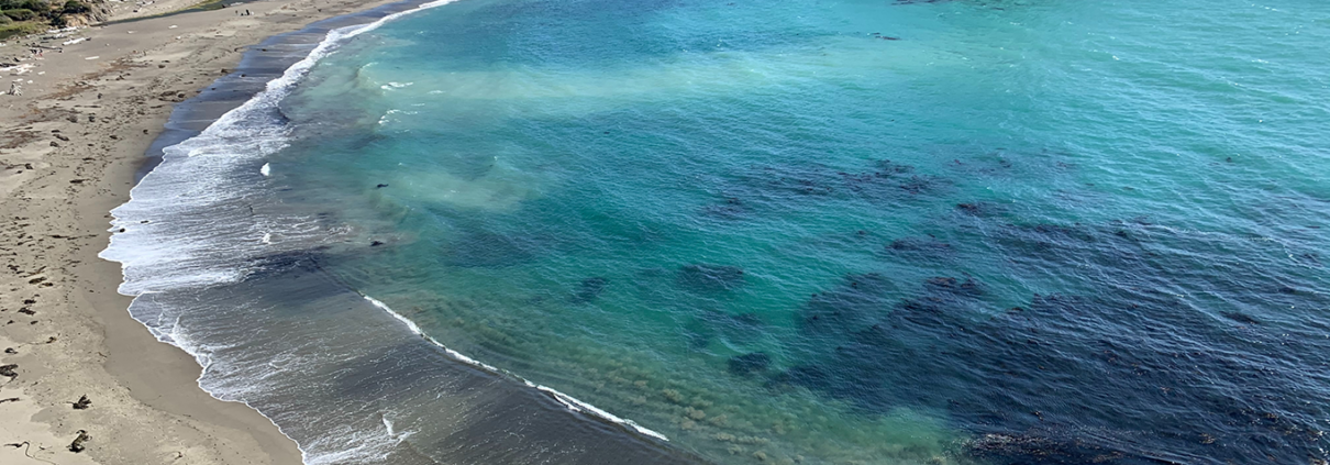 Cliffs and a beach on a clear day along the Mendocino coast. Dark patches of kelp are visible in the turquoise water.