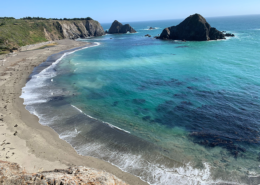 Cliffs and a beach on a clear day along the Mendocino coast. Dark patches of kelp are visible in the turquoise water.