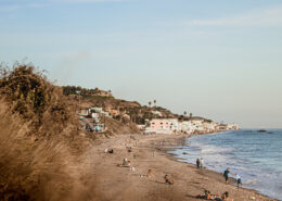 Coastal grasses and people are scattered in the foreground on a beach; in the distance, houses perch atop short cliffs above the water.