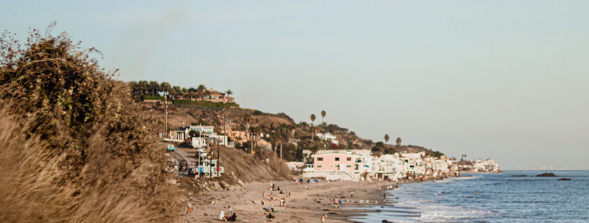 Coastal grasses and people are scattered in the foreground on a beach; in the distance, houses perch atop short cliffs above the water.