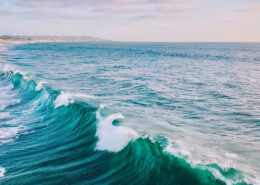 A low wave cresting towards a distant shore. A long line of whitecaps is visible, as are dunes along the horizon.