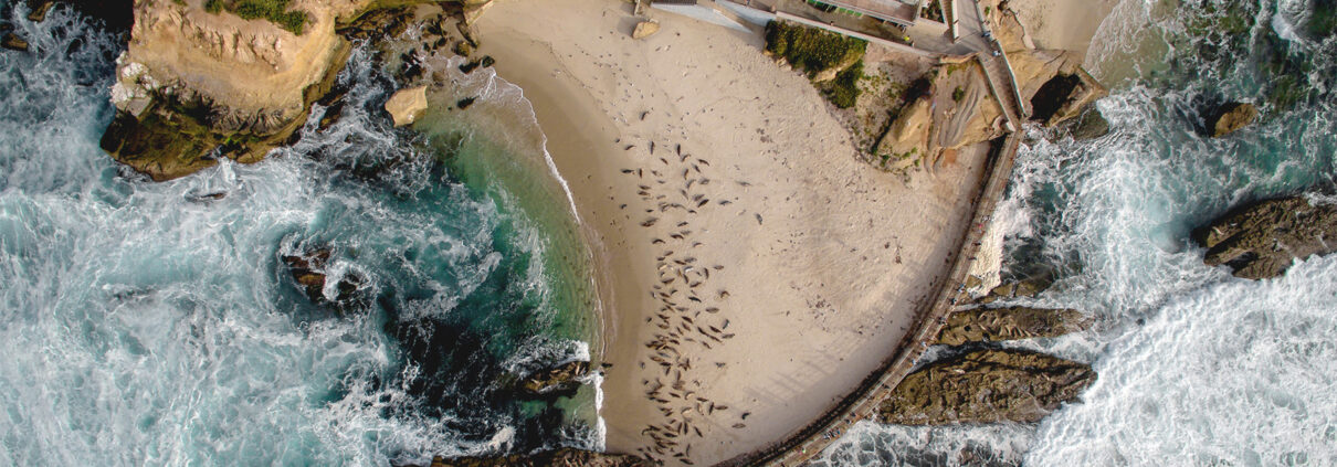 Aerial view of the La Jolla Children's Pool, with white-capped waves crashing against the dark gray stone of a seawall. The dark brown shapes of sea lions dot the protected beach.