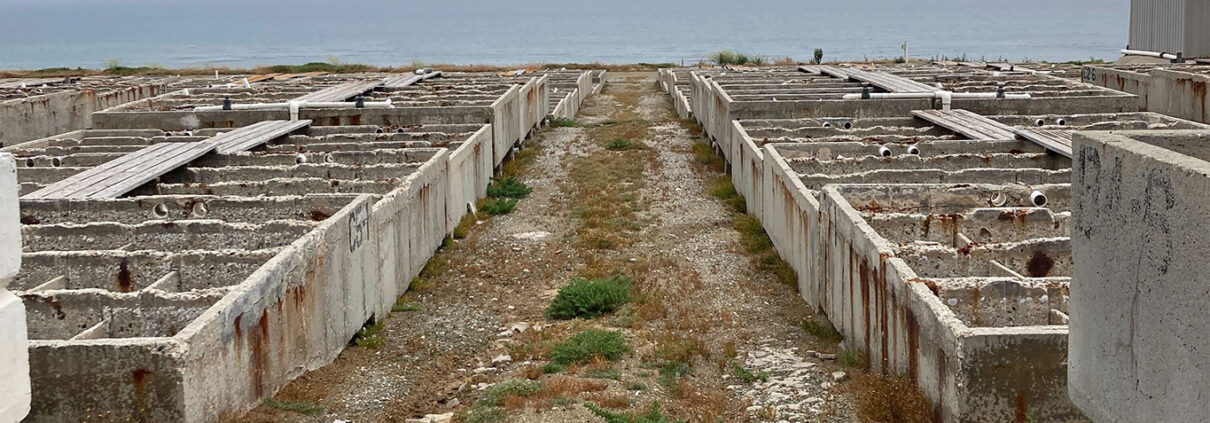 A photo overlooking the remaining gray infrastructure from the closed abalone farm. The gray of the Pacific Ocean is visible in the background, with a mountain peeking out below the fog to the left of the viewer.