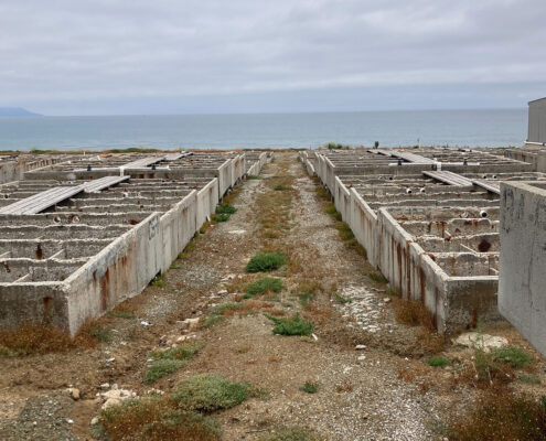 A photo overlooking the remaining gray infrastructure from the closed abalone farm. The gray of the Pacific Ocean is visible in the background, with a mountain peeking out below the fog to the left of the viewer.