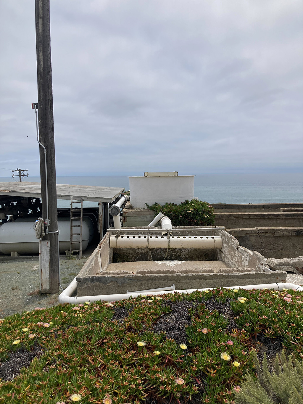 A tall pole stands next to a large concrete tank. Flowering ice plant is visible in the foreground, and the gray sky and ocean blend together in the background.