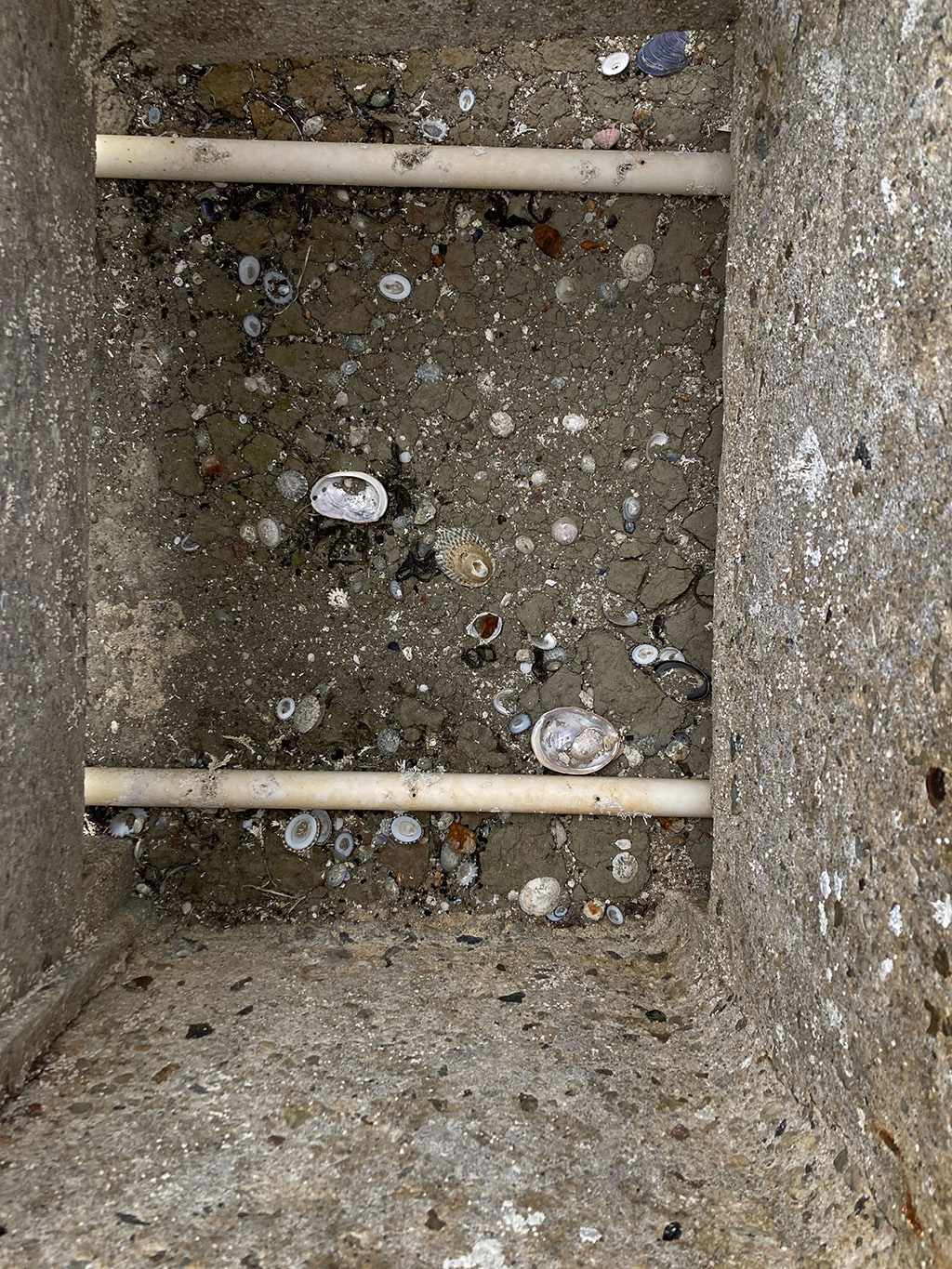 A rectangular concrete pit littered with empty shells and two parallel pipes.
