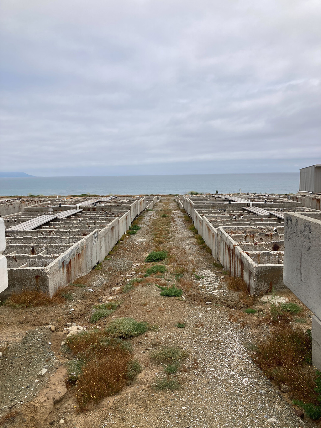 A photo overlooking the remaining gray infrastructure from the closed abalone farm. The gray of the Pacific Ocean is visible in the background, with a mountain peeking out below the fog to the left of the viewer.