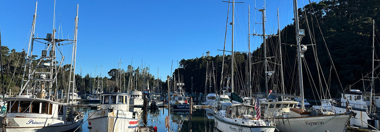 Photograph of Noyo Harbor small fishing boats. The water and sky are both clear and still, and the trees in the background are dark.