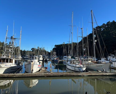 Photograph of Noyo Harbor small fishing boats. The water and sky are both clear and still, and the trees in the background are dark.