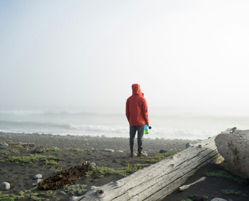 Photograph of a person in a red jacket standing with their back to the camera. A driftwood log is visible next to them, and the sea recedes into fog in behind them.